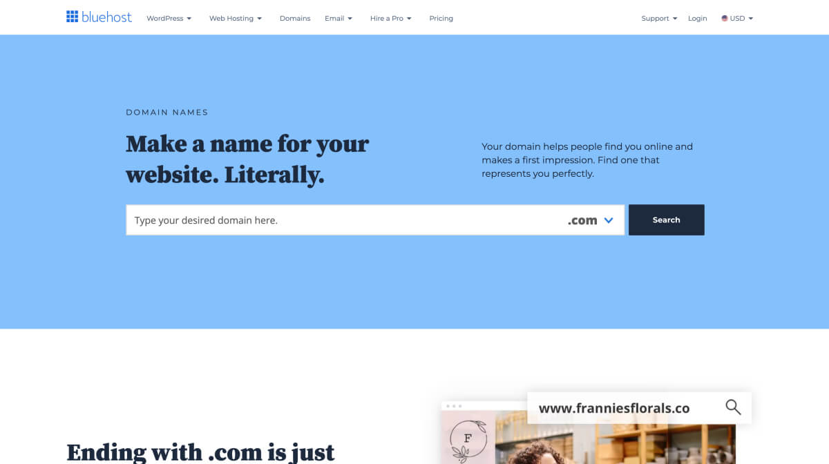 Find and register a website domain name on Bluehost